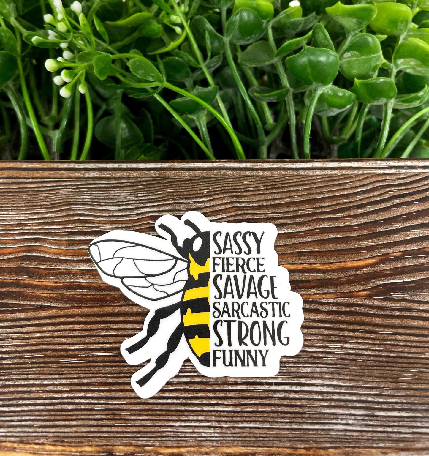 Sassy Fierce Savage Sarcastic Strong Funny, Die Cut Vinyl Sticker, ,